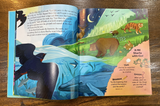 God's Big Plans for Me Storybook Bible