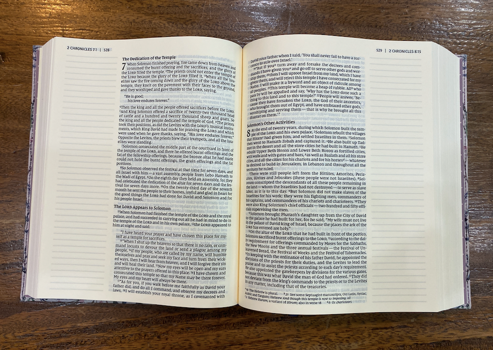 NIV Journal the Word Bible Comfort Print (Hardcover, Cloth-over-Board, Pink Floral)
