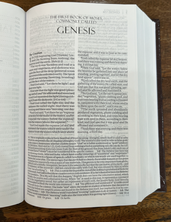 Amplified Holy Bible, Compact, Hardcover: Captures the Full Meaning Behind the Original Greek and Hebrew