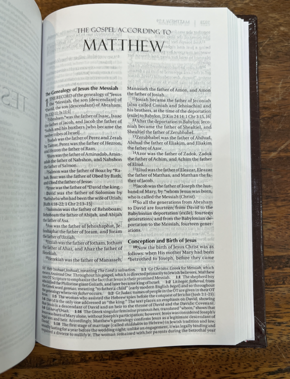 Amplified Holy Bible, Compact, Hardcover: Captures the Full Meaning Behind the Original Greek and Hebrew