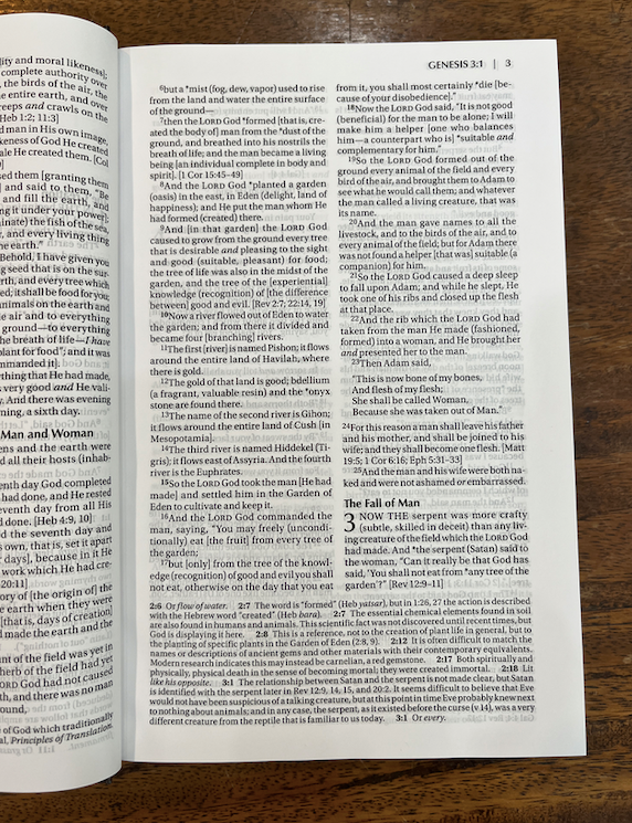 Amplified Holy Bible (Hardcover)