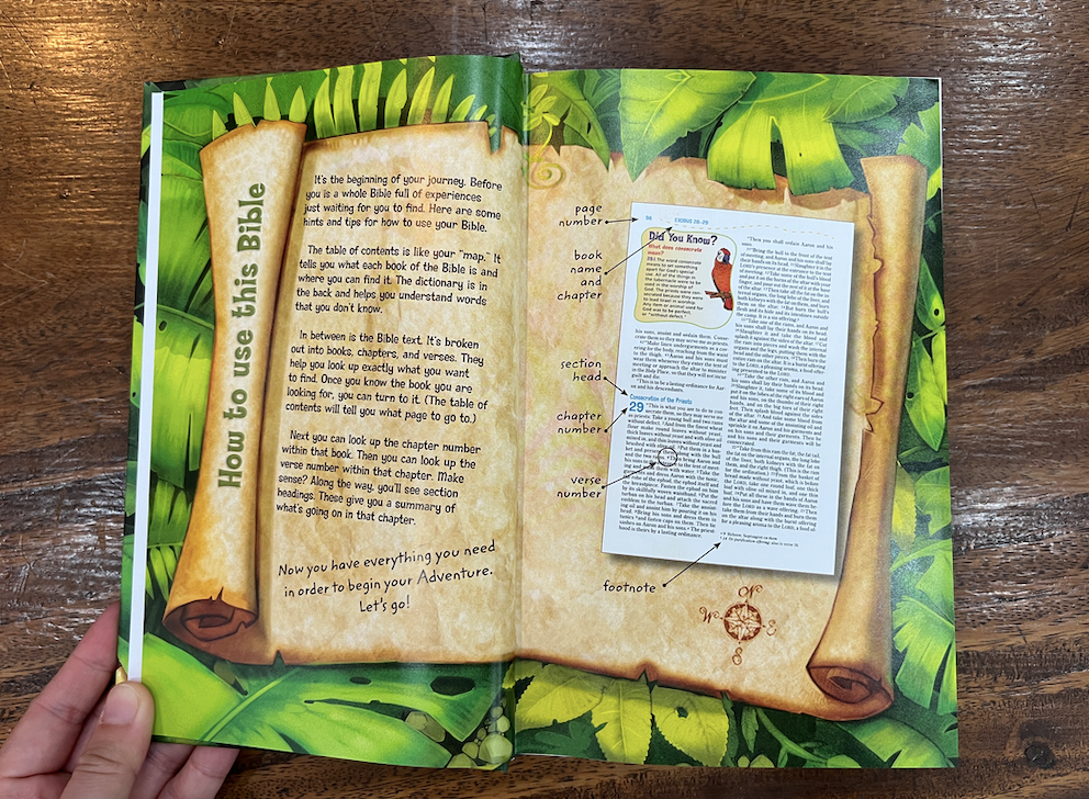 NIV Adventure Bible (Hardcover)