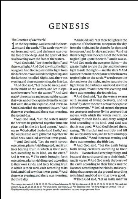 ESV Large Print Compact Bible, Red Letter (TruTone, Teal, Bouquet Design)