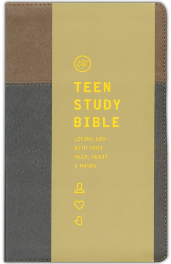 ESV Teen Study Bible--soft leather-look, slate & umber