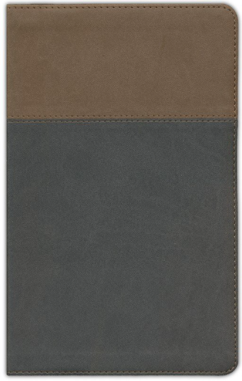 ESV Teen Study Bible--soft leather-look, slate & umber