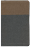 ESV Teen Study Bible--soft leather-look, slate & umber