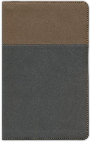 ESV Teen Study Bible--soft leather-look, slate & umber