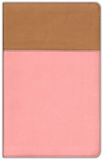 ESV Teen Study Bible--soft leather-look, blush & caramel
