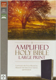 Amplified Large-Print Bible--bonded leather, burgundy