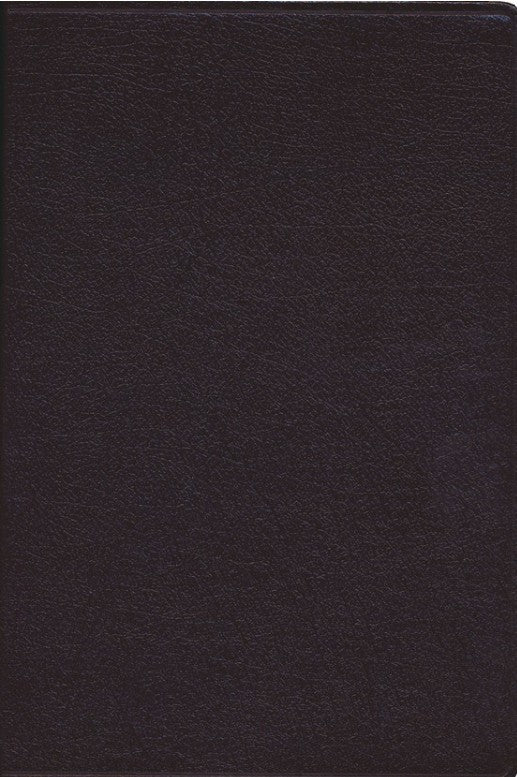 Amplified Large-Print Bible--bonded leather, burgundy