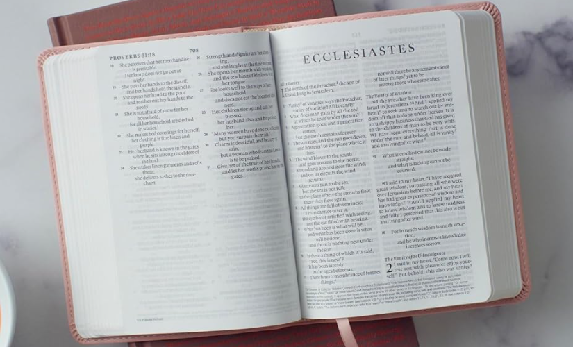 ESV Large Print Compact Bible, Red Letter (TruTone, Pink)