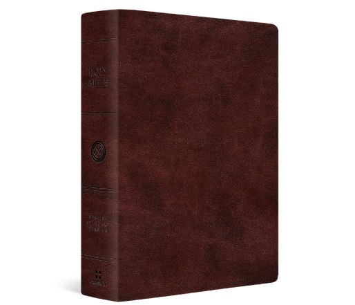 ESV Super Giant Print Bible (TruTone, Burgundy)