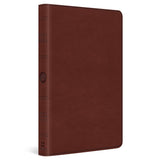 ESV Large Print Value Thinline Bible (TruTone, Chestnut), Leather, imitation, Brown