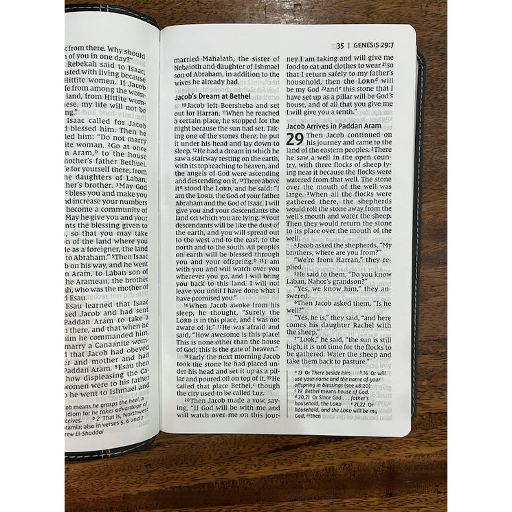 NIV, Personal Size Bible, Large Print, Leathersoft, Black, Red Letter, Comfort Print
