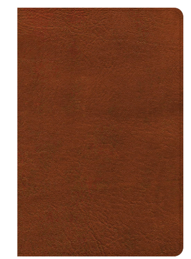 NASB Large Print Personal Size Reference Bible, Burnt Sienna LeatherTouch, Indexed, Red Letter, Presentation Page, Cross-References, Full-Color Maps, Easy-to-Read Bible Karmina Type