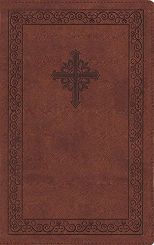 NIV, Teen Study Bible, Compact, Leathersoft, Brown (OM)