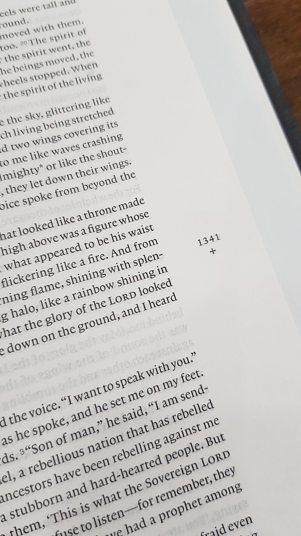 NLT Filament Bible (Hardcover Cloth, Gray)