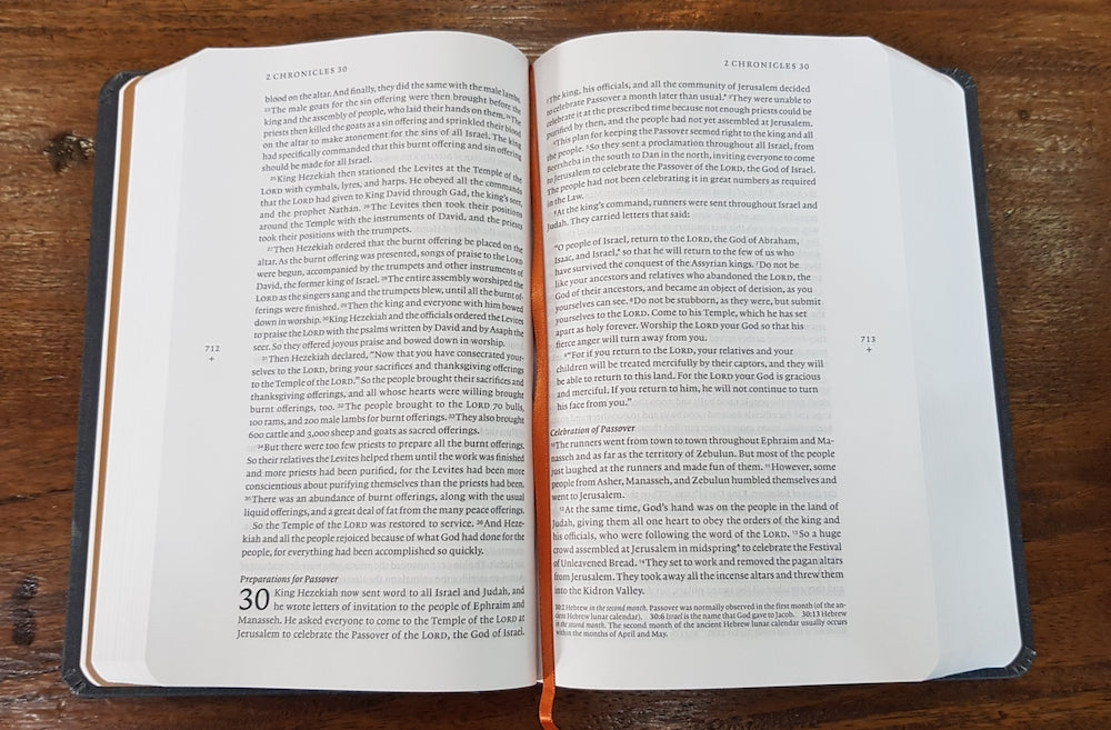 NLT Filament Bible (Hardcover Cloth, Gray)