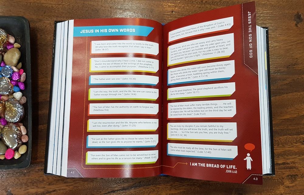 NLT Boys Life Application Study Bible (Hardcover)