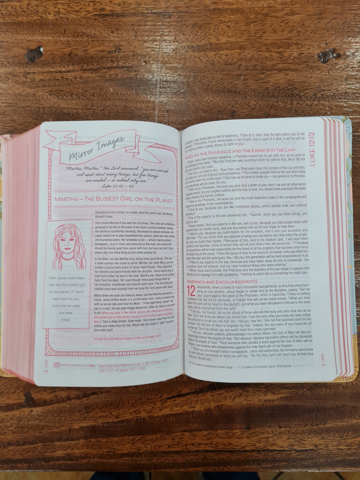 NIV True Images Bible (Imitation Leather, Blue/Gold)