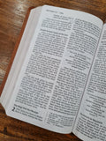 NIV Personal-Size Large-Print Bible Brown