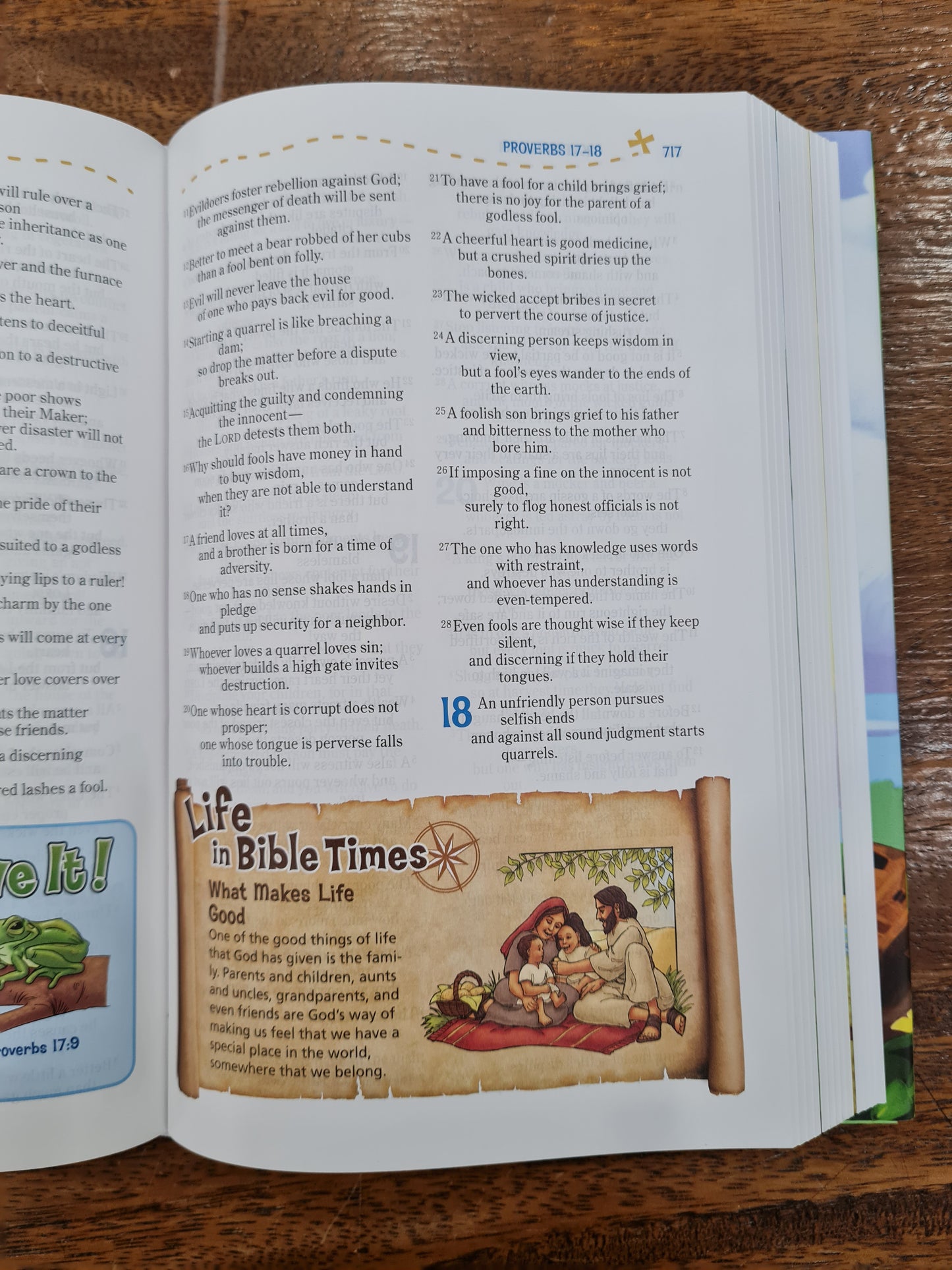 NIV Adventure Bible (Hardcover)