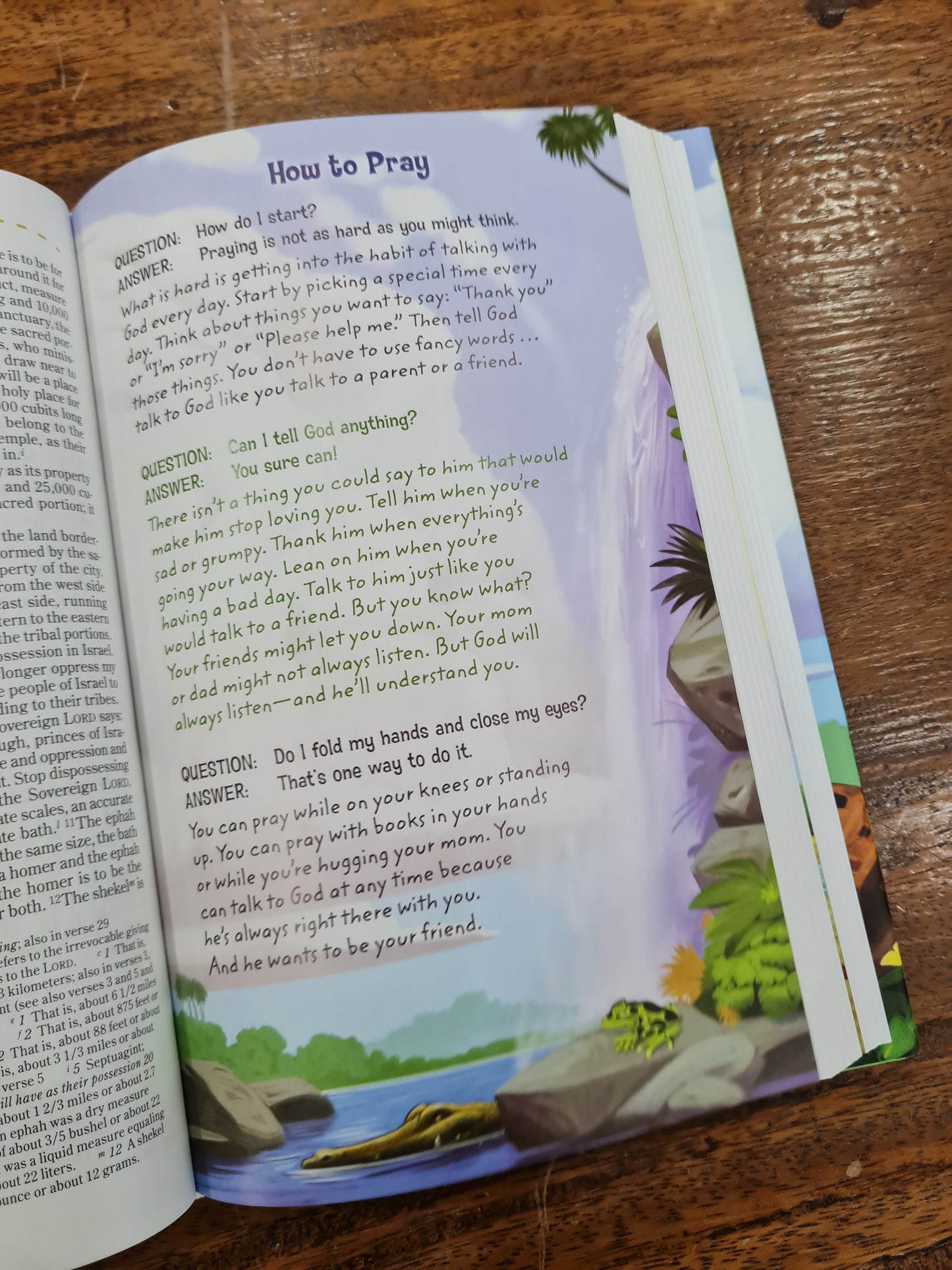 NIV Adventure Bible (Hardcover)