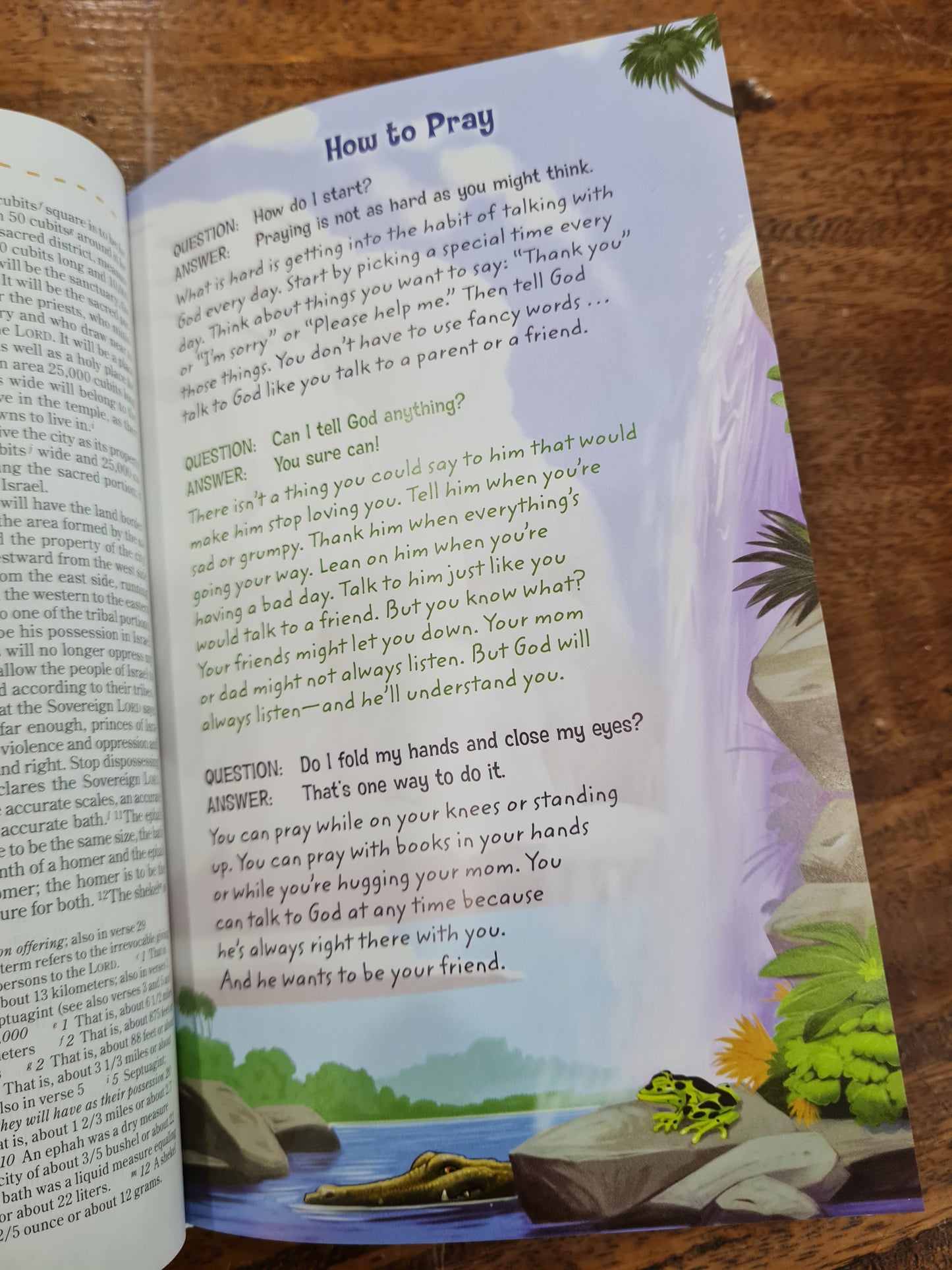 NIV Adventure Bible (Hardcover)