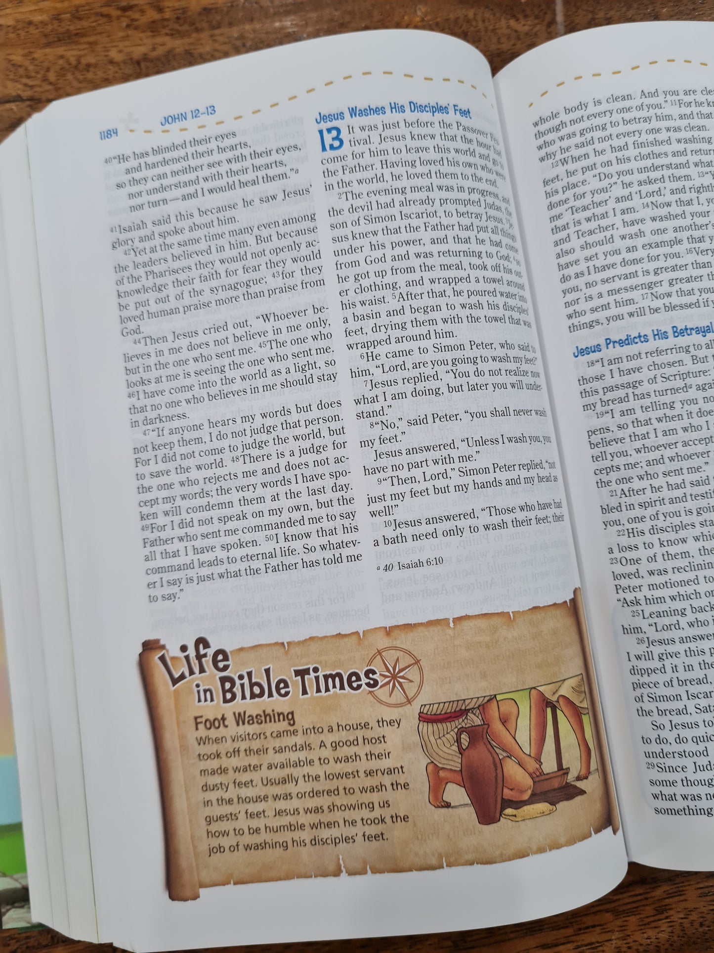 NIV Adventure Bible (Hardcover)
