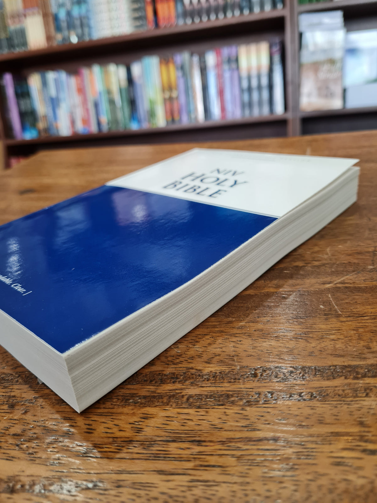 NIV Economy Bible (Paperback)