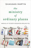 The Ministry of Ordinary Places: Waking Up to God's Goodness Around You (Paperback)