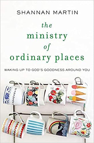 The Ministry of Ordinary Places: Waking Up to God's Goodness Around You (Paperback)