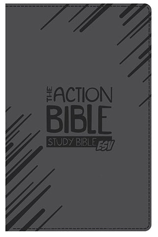ESV Action Study Bible (Imitation Leather, Gray)