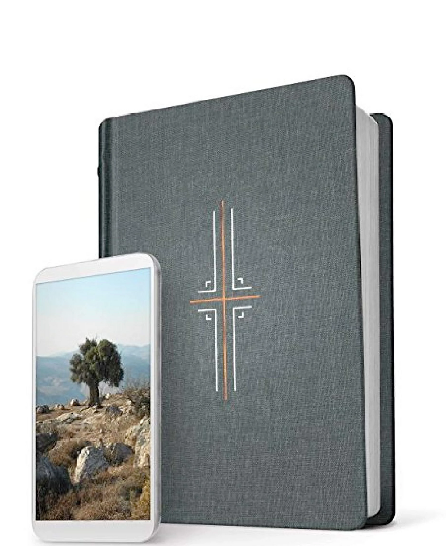 NLT Filament Bible (Hardcover Cloth, Gray)