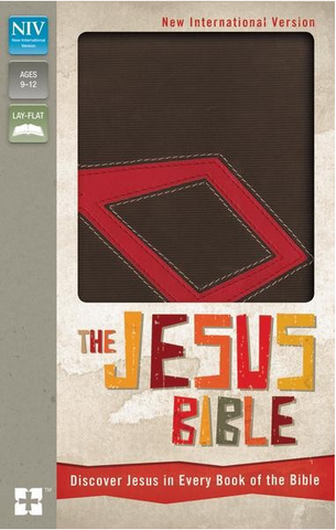 NIV Jesus Bible (Imitation Leather)