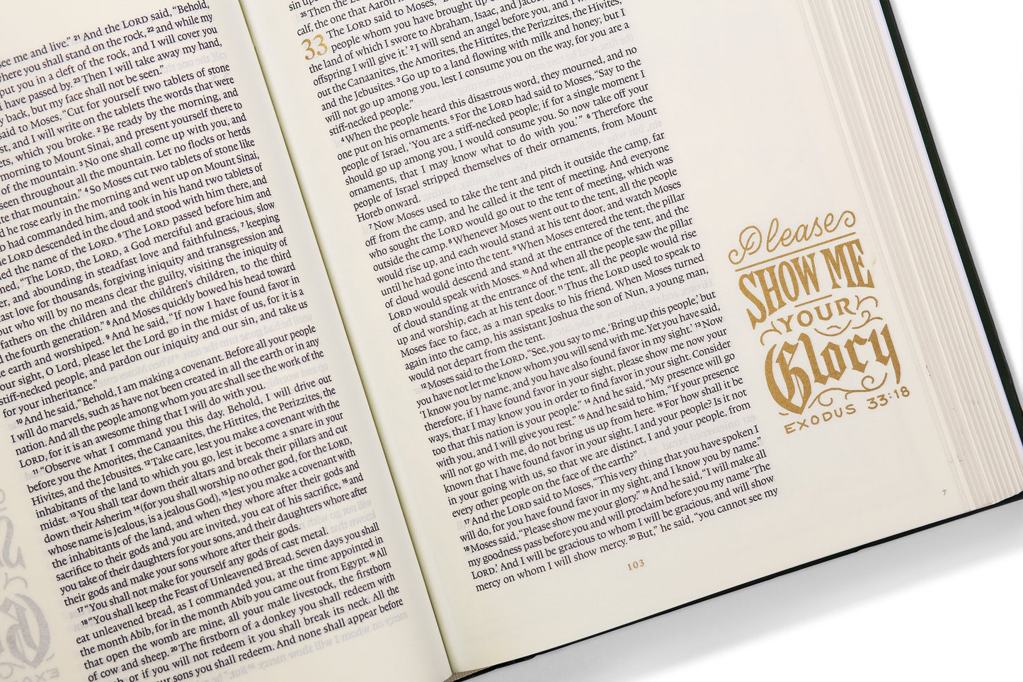 ESV Illuminated Bible - Art Journaling Edition (Hardcover, Cloth-over-Board)