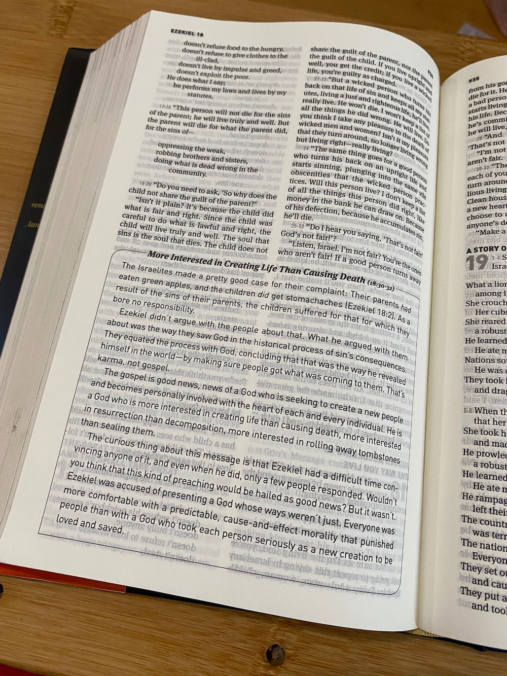 The Message Devotional Bible, Hardcover