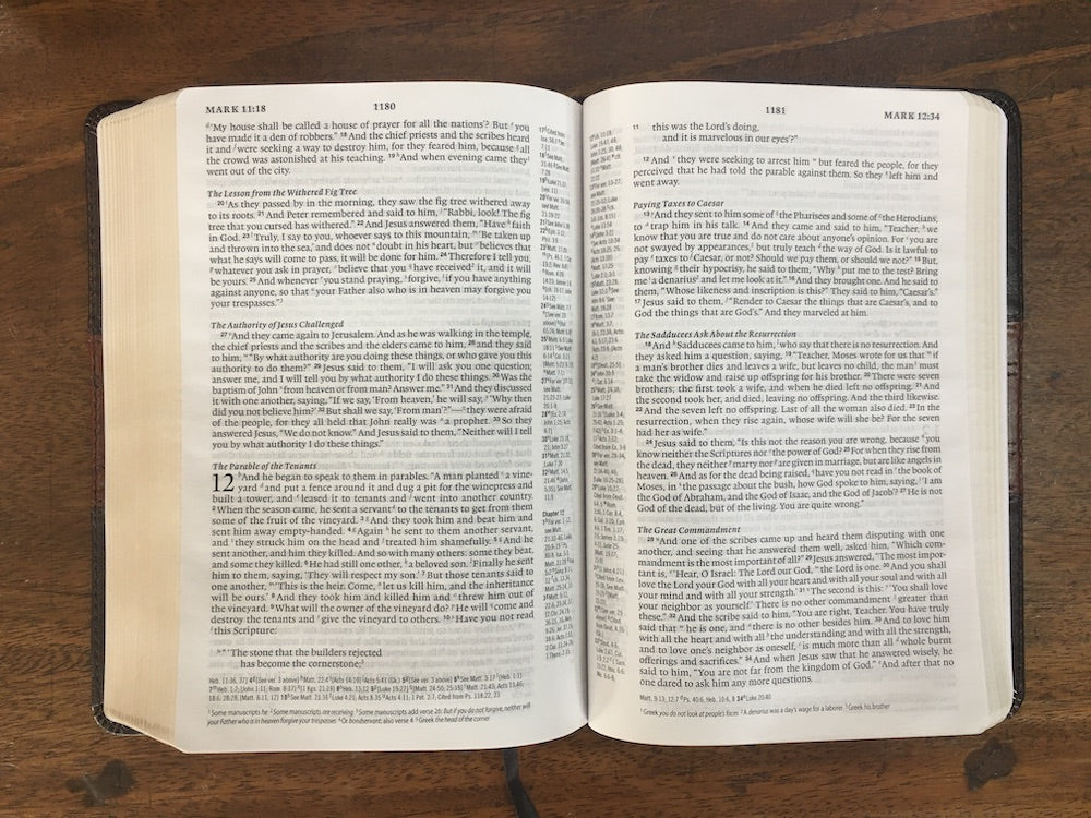 ESV Personal Reference Bible, TruTone, Deep Brown/Tan