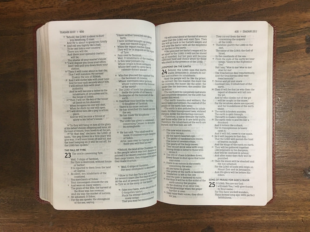 NASB Comfort Print Thinline Bible, Red Letter Edition--soft leather-look, brown