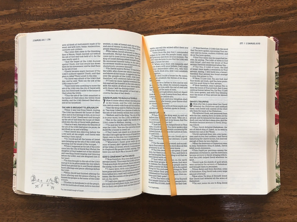 NASB 1995 Artisan Collection Bible, Comfort Print--soft leather-look, almond floral