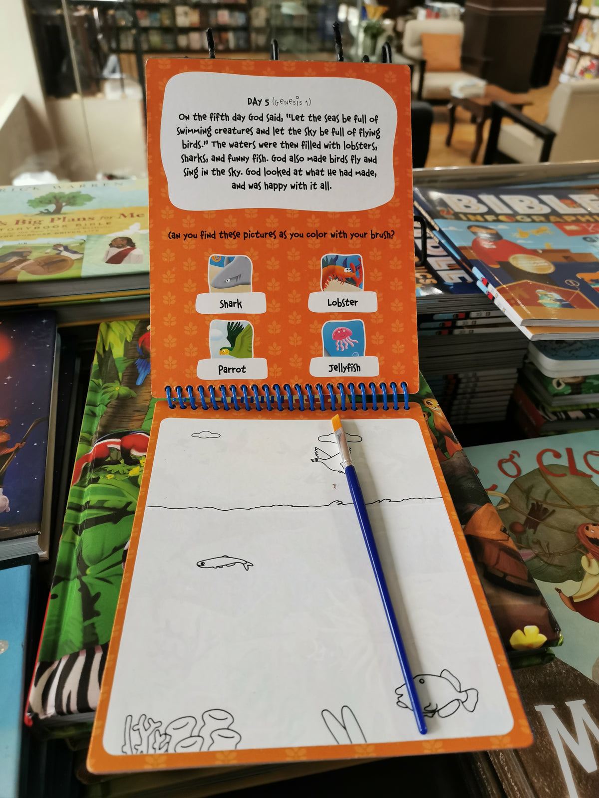 The Creation: A Water Doodle Book