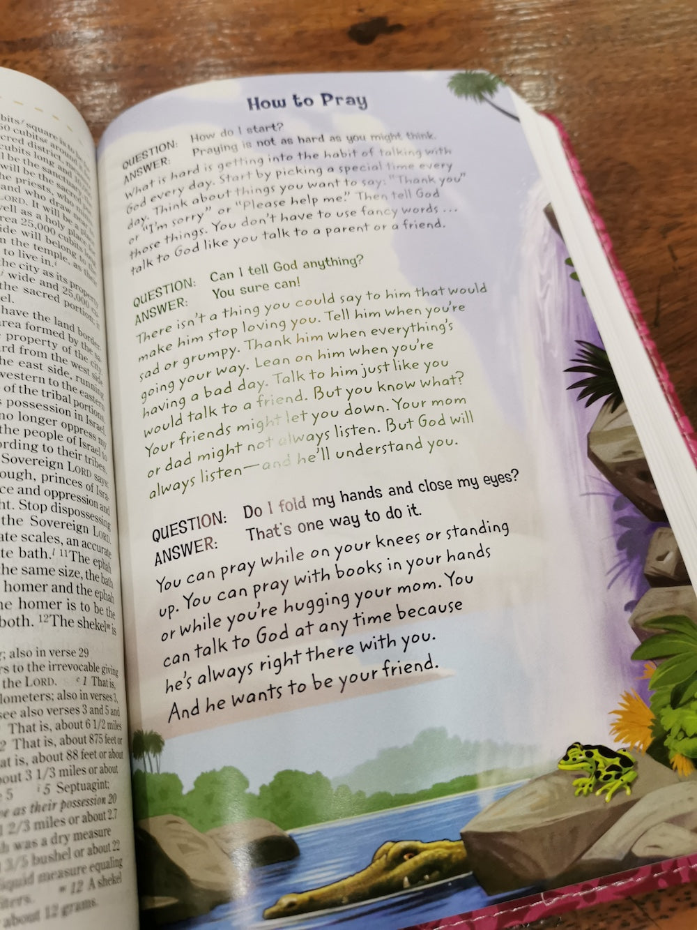 NIV Adventure Bible (Leathersoft, Pink)