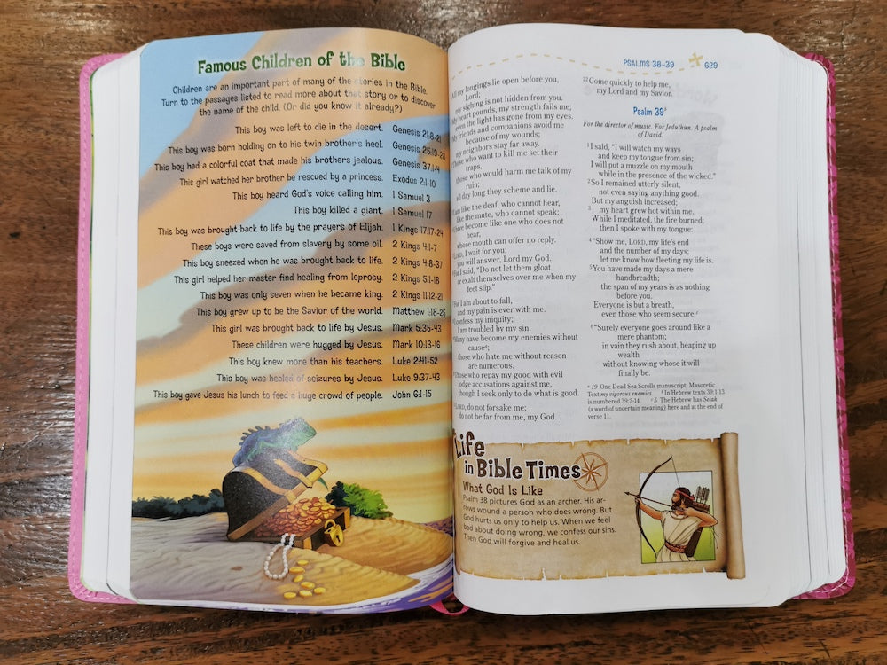 NIV Adventure Bible (Leathersoft, Pink)