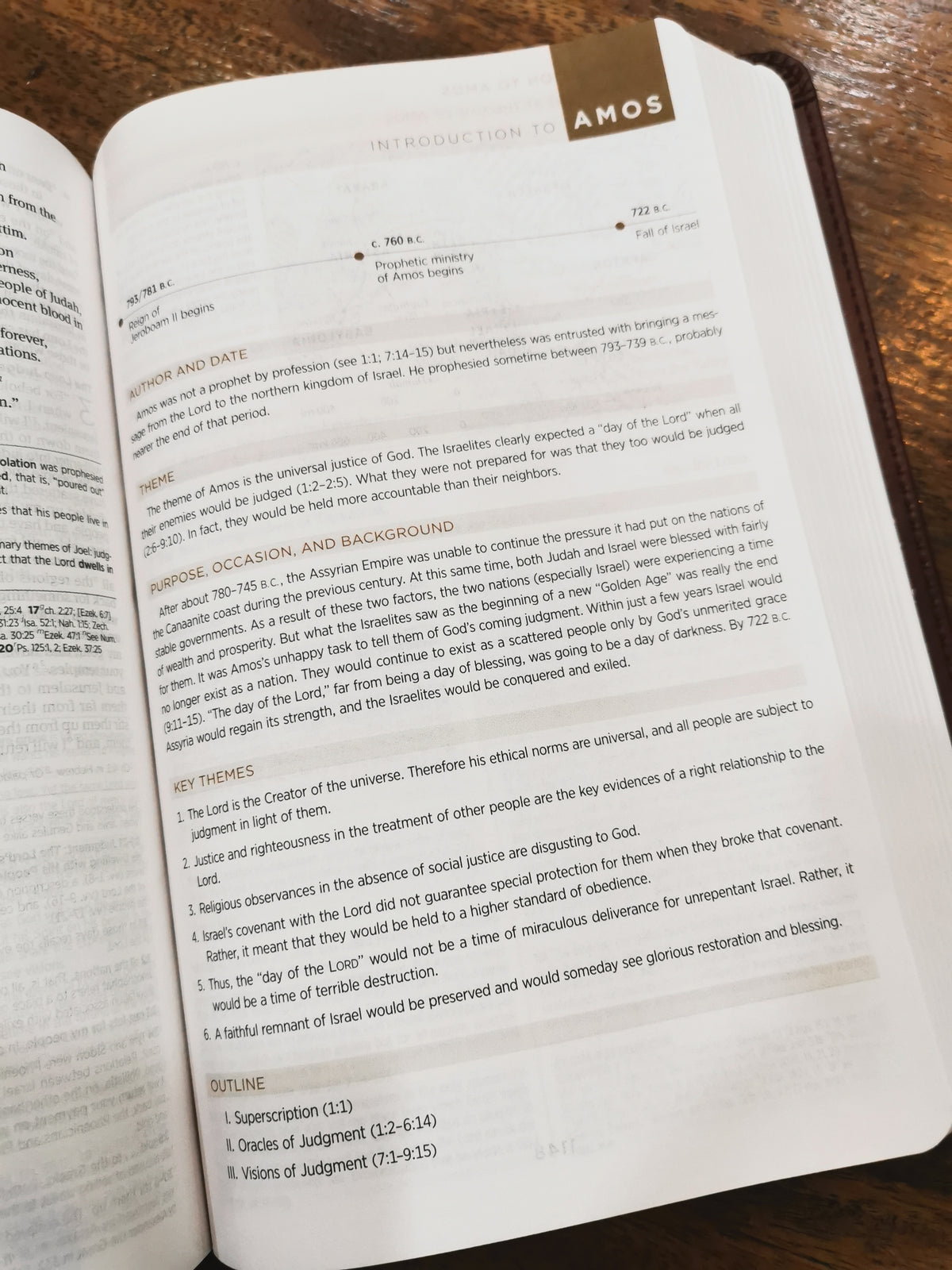 ESV Student Study Bible (Imtitation Leather, TruTone, Chestnut)