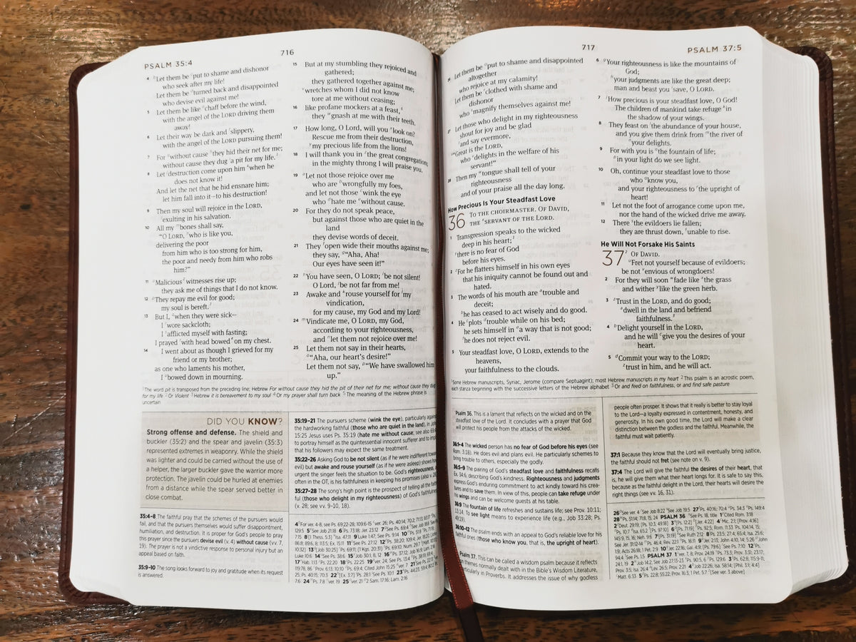 ESV Student Study Bible (Imtitation Leather, TruTone, Chestnut)
