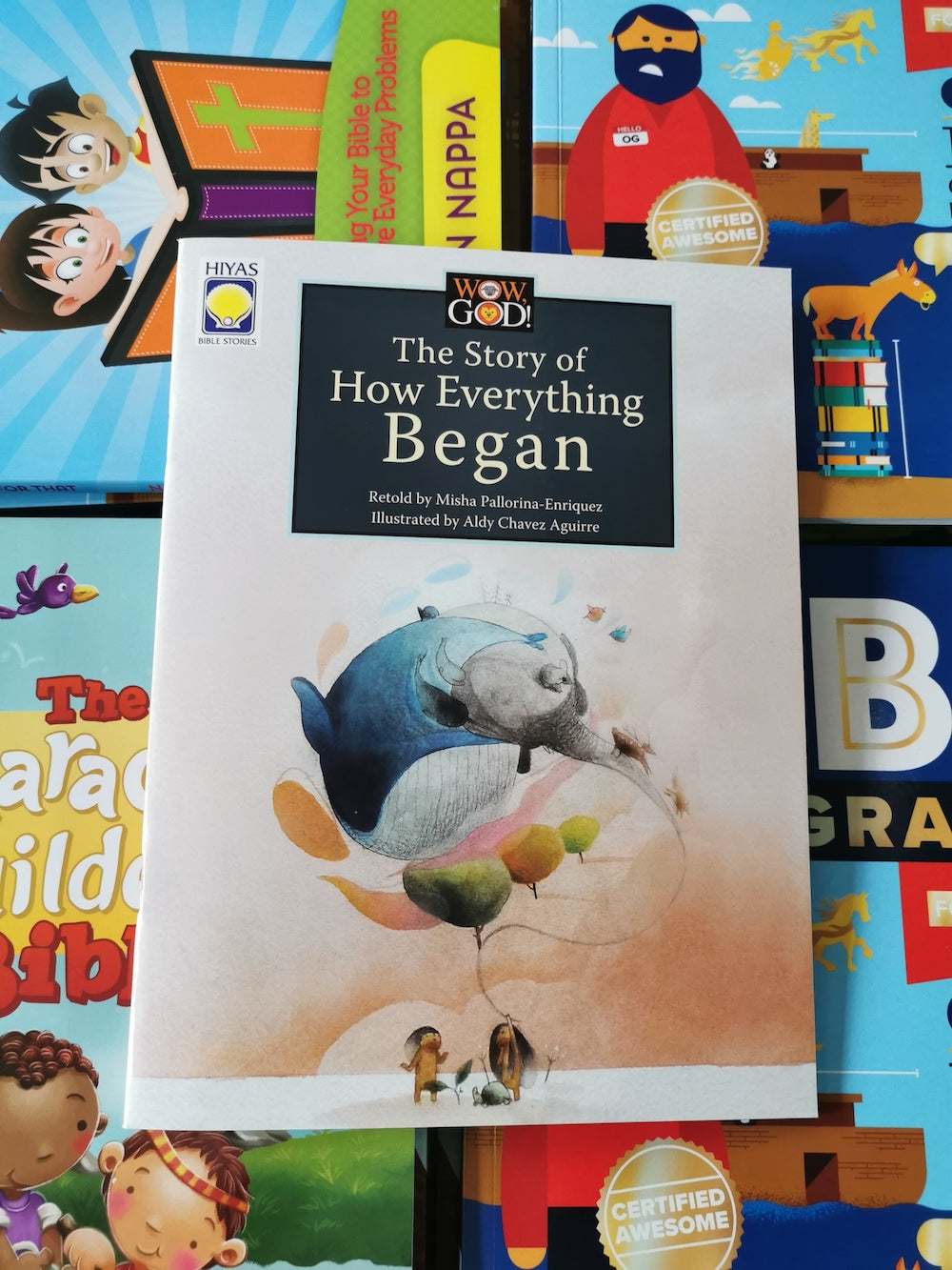 Wow, God: The Story of How Everything Began