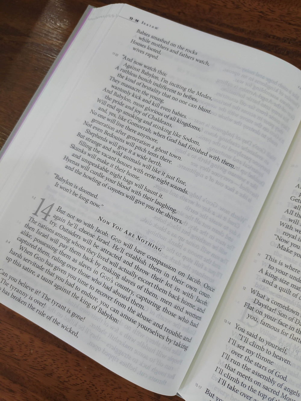 The Message Large Print Edition, Deluxe Lavender Linen Hardcover