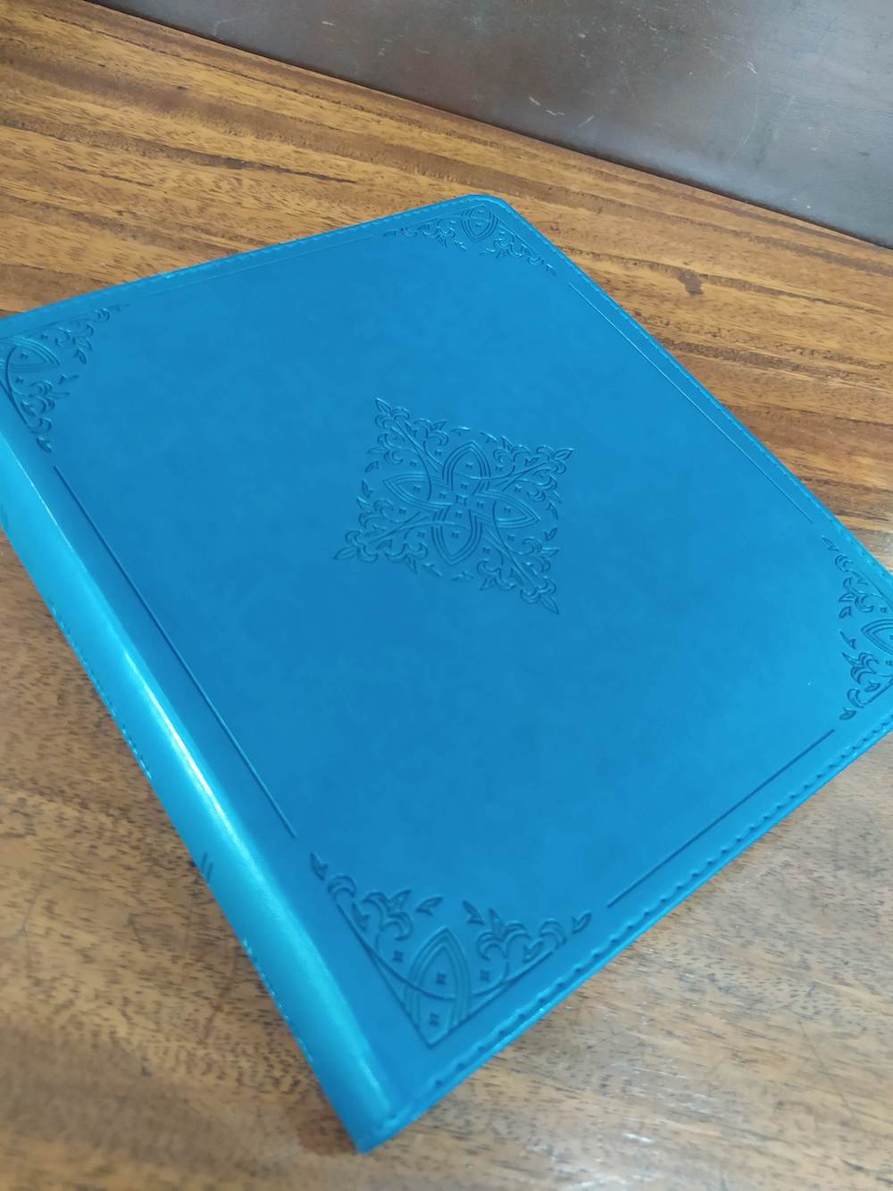 ESV Journaling Bible (TT, Deep Teal)