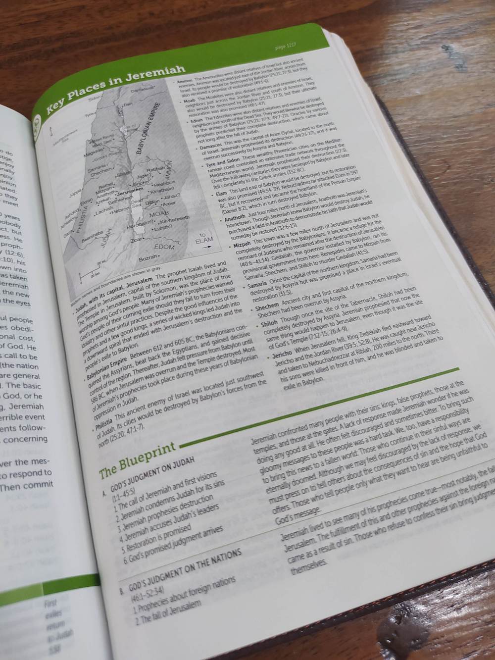NLT Life Application Personal-Size Study Bible, Third Edition Brown/Tan