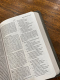 ESV Compact Bible (TruTone, Silver Sword)